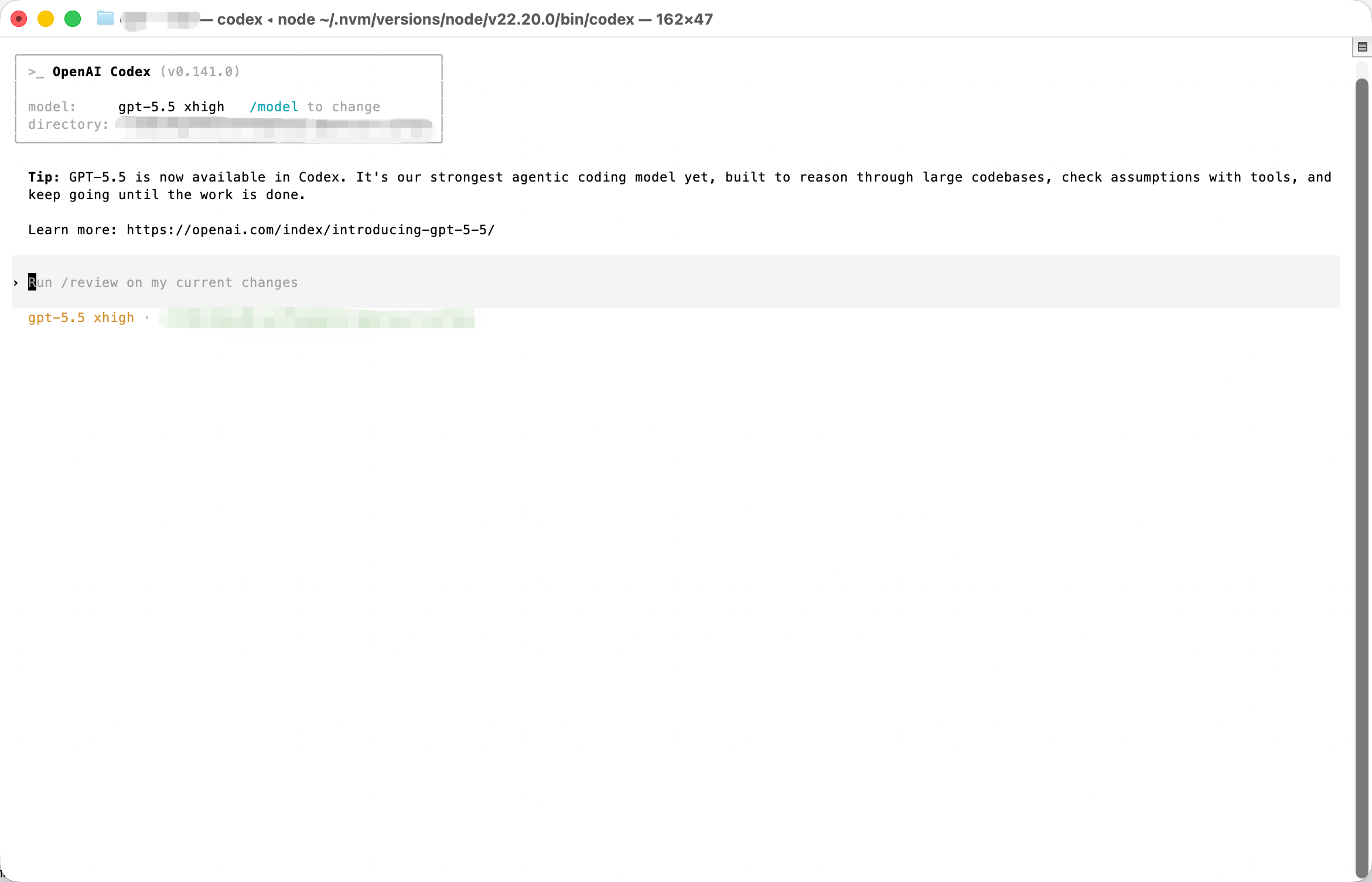 Codex CLI 启动成功